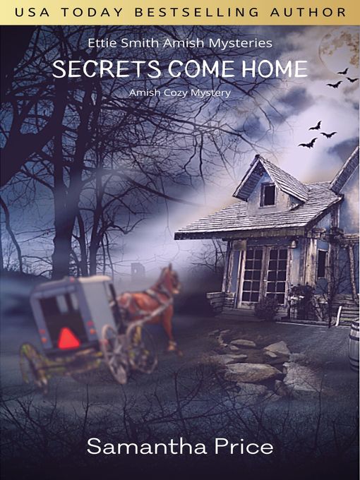 Title details for Secrets Come Home by Samantha Price - Available